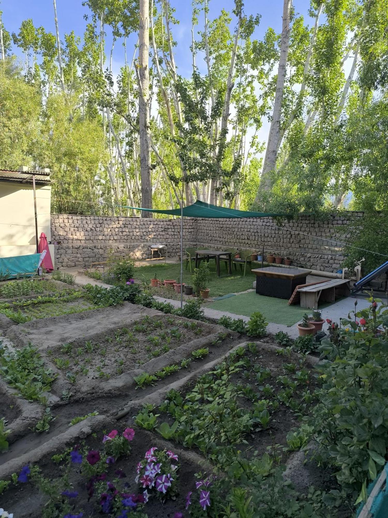 Hidden Leaf Homestay Leh Exterior photo